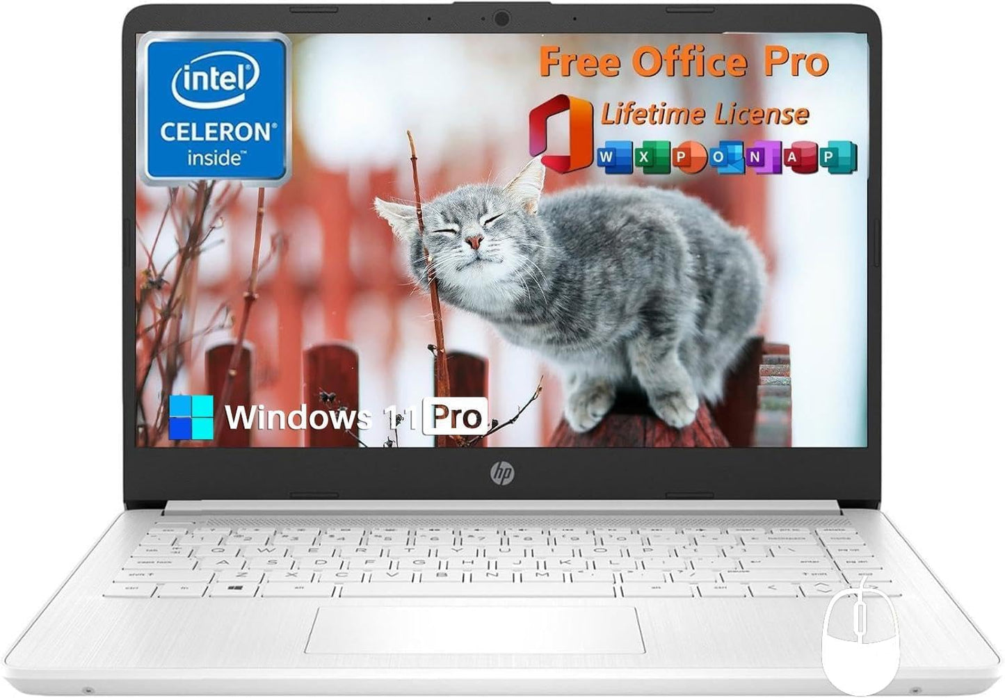 HP 14 Inch Laptop Student Business, with Office Lifetime License & Windows 11 Pro, Intel Dual-Core N4120, 16GB RAM, 384GB Storage(128Gb Emmc+256Gb MSD), Ultra Light, Webcam, Wifi, Accessories
