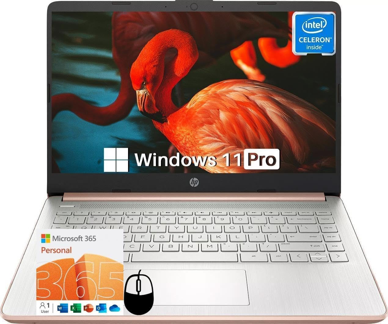 HP 14 Inch Laptop Student Business, with Office Lifetime License & Windows 11 Pro, Intel Dual-Core N4120, 16GB RAM, 384GB Storage(128Gb Emmc+256Gb MSD), Ultra Light, Webcam, Wifi, Accessories