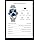 OLEVS Men's Two-Tone Luxury Analog Quartz Watch Blue