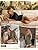 Women's Cotton Oversized Half Sleeve Crew Neck Tees - 3 Pack