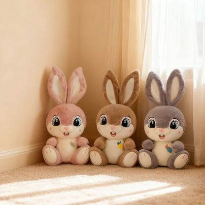 Հմայիչ և հաճելի փափուկ խաղալիքներ՝ ճագարների տեսքով՝ սահմանային նվերների համար, որոնք ներառում են մեծ աչքերով, սիրուն ճագարների տիկնիկներ, մուլտֆիլմային երկարականջ ճագարներ, որոնք կատարյալ են որպես ծննդյան և տոնական նվերներ աղջիկների համար։