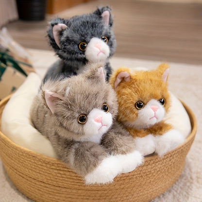 Պրեմիում խաղալիք փափուկ խաղալիք՝ ռեալիստական ​​կատվի, փափուկ խաղալիքներ, խելոք կատվիկներ, փափուկ խաղալիքներ՝ տղաների և աղջիկների համար