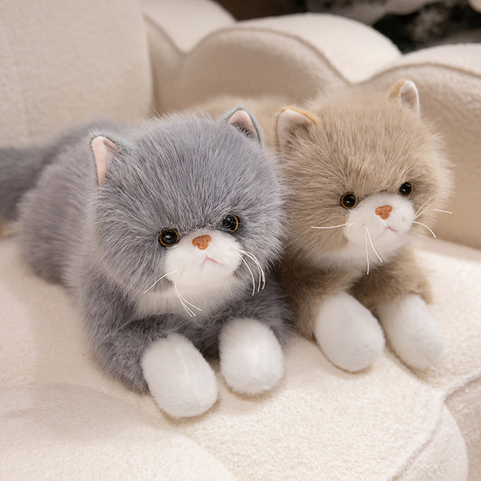 SNUGGLEON Realistic Ragdoll Cat Plush Toy - Soft Cuddly Stuffed Suitable for Elderly Adults, Women, Kids | Surprise Gift for Cat Lovers, Ragdoll Cat Companion Pet, Birthday or Anniversary Present ( Color)