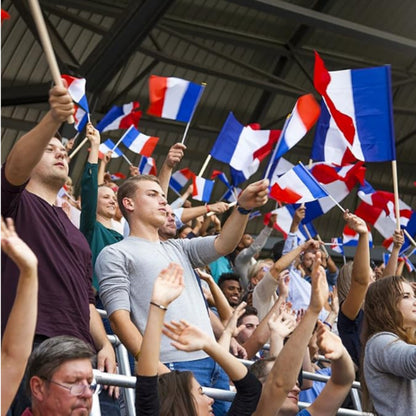 French Hand-Waving Flags 12/6 Pack for Sports & Party Decor