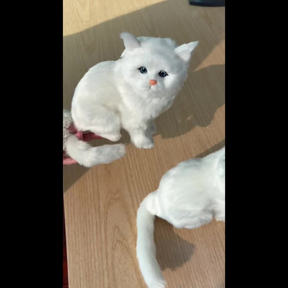 Սիմուլյացիոն կատվի խաղալիքներ՝ հինգ տեսակի կատուներով՝ պարսկական, սև, խայտաբղետ և այլ իրատեսական կենդանիների նախշերով։